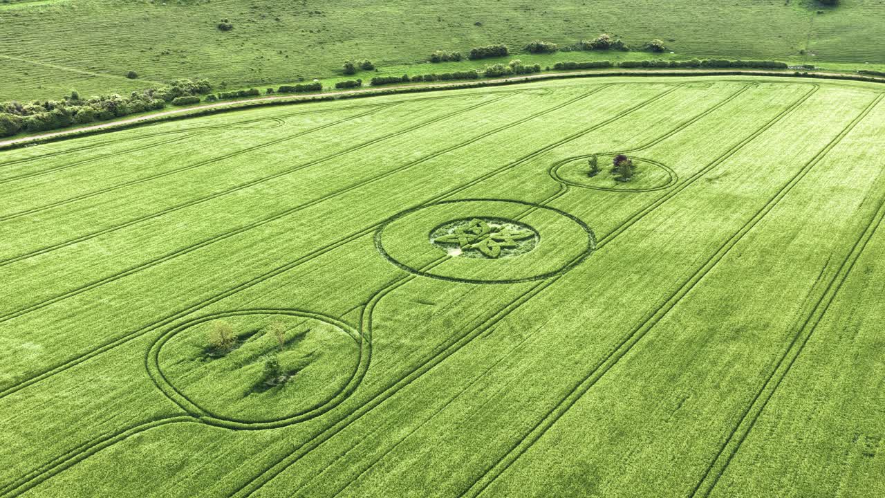 Sutton Veny crop circle aerial view over high value malting barley field in South Wiltshire 2025