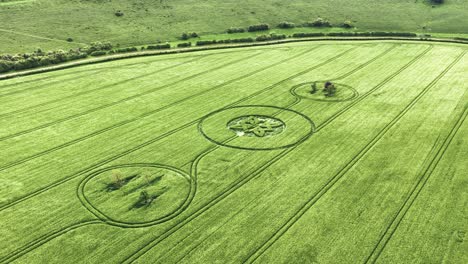 sutton veny crop circle aerial view over high value malting barley field in south wiltshire 2025