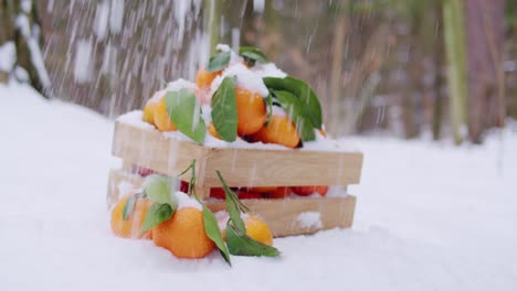 mandarin oranges in a wooden crate in the snow