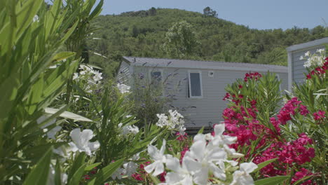 Casa-De-Vacaciones-Con-Flores-En-Un-Jardín-Camping-Francés