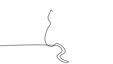 self draw animation cat with ears. hand drawn black line animation of cat on white background. self-drawing simple animation. continuous drawing of one line kitten. 4k footage