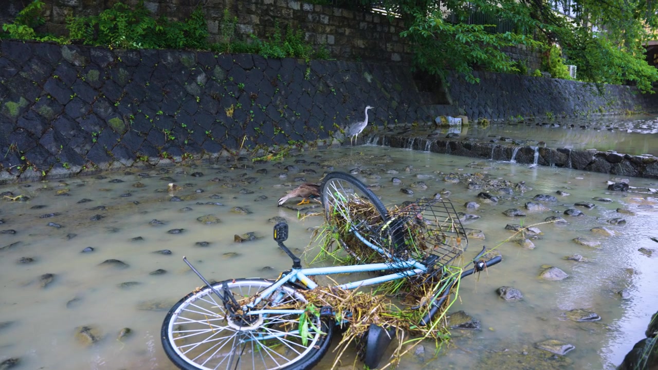 嵐の後、鴨川から引く洪水、川の中の自転車とがれき