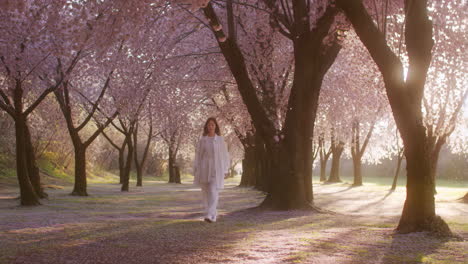 woman walking through a cherry blossom alley in spring