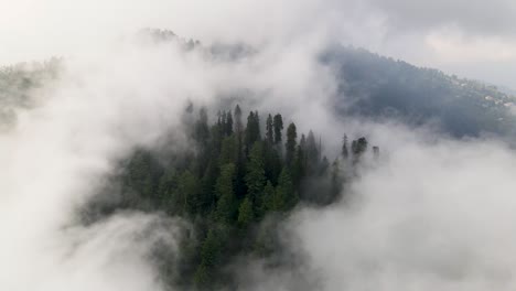 Wolkenbedecktes-Blätterdach:-Ein-Atemberaubender-Drohnenblick-Auf-Neblige-Bergbäume