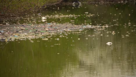 plastic bottles and bags pollution in the pond 02