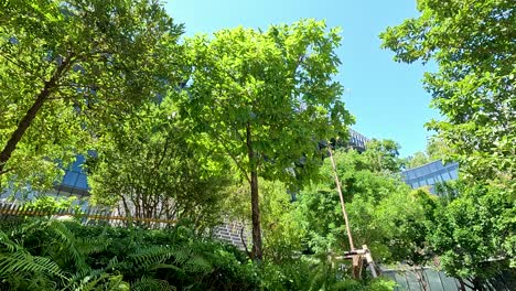 lush trees and plants in a vibrant bangkok city setting under clear blue skies