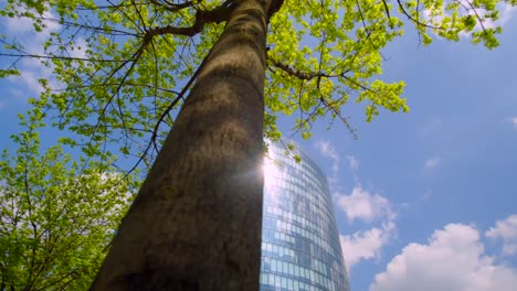 la naturaleza se encuentra con la arquitectura. verano en viena
