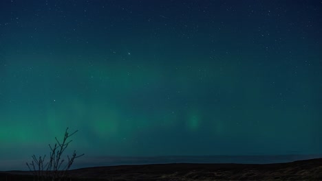 lapso de tiempo en un teleobjetivo de la aurora boreal en el pueblo de atrás en la isla de lewis