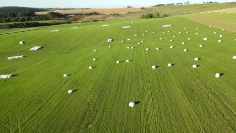 hay roll silage wrapped in the field, aerial view