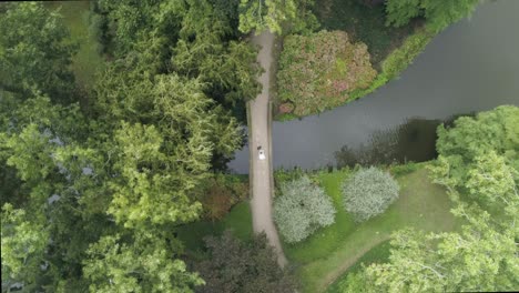 aerial birdview slowmotion of a young millenial wedding couple standing on a small bridge surrounded by trees