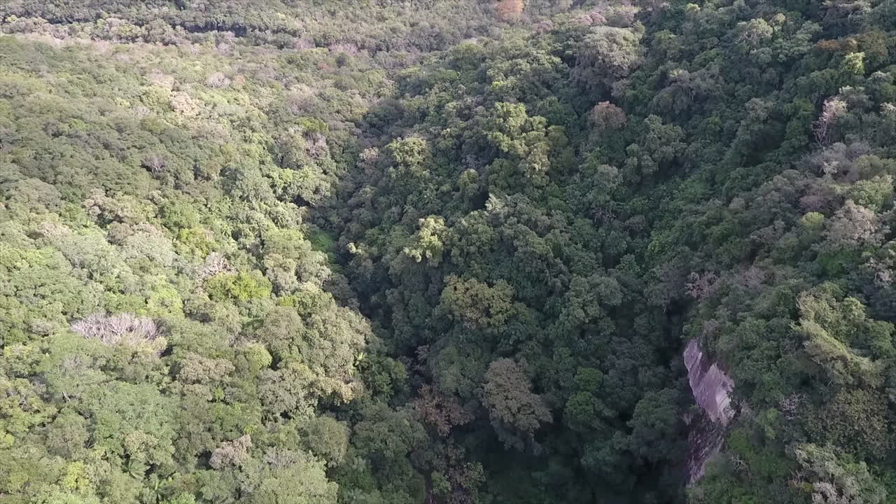 escena aérea de la cascada forqueta en 4k, al sur de brasil
