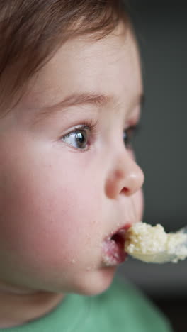 beautiful baby with adorable cheeks is fed from spoon. mom gives food to her child and kid takes it obediently. close up. blurred backdrop. vertical video