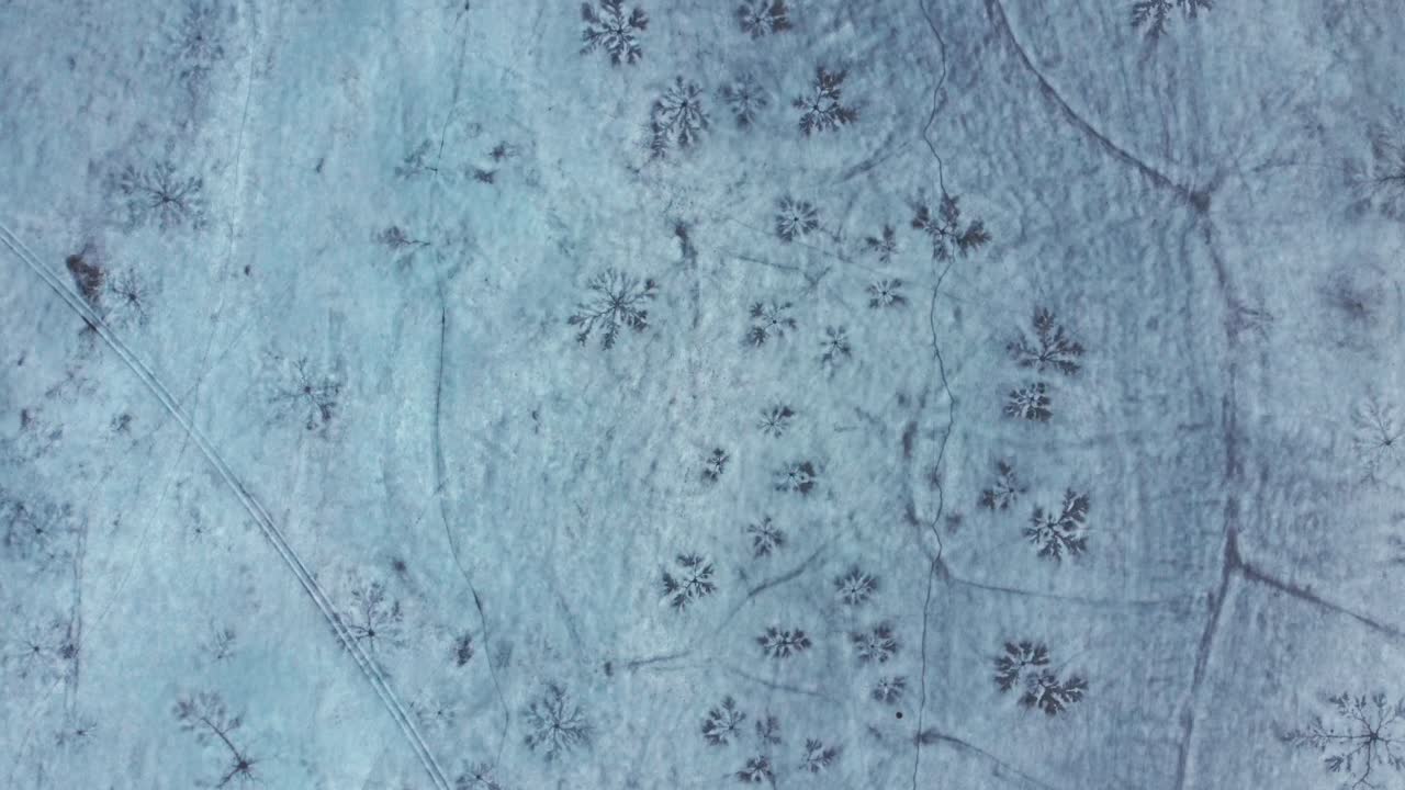 Frozen Snowflakes In Ice