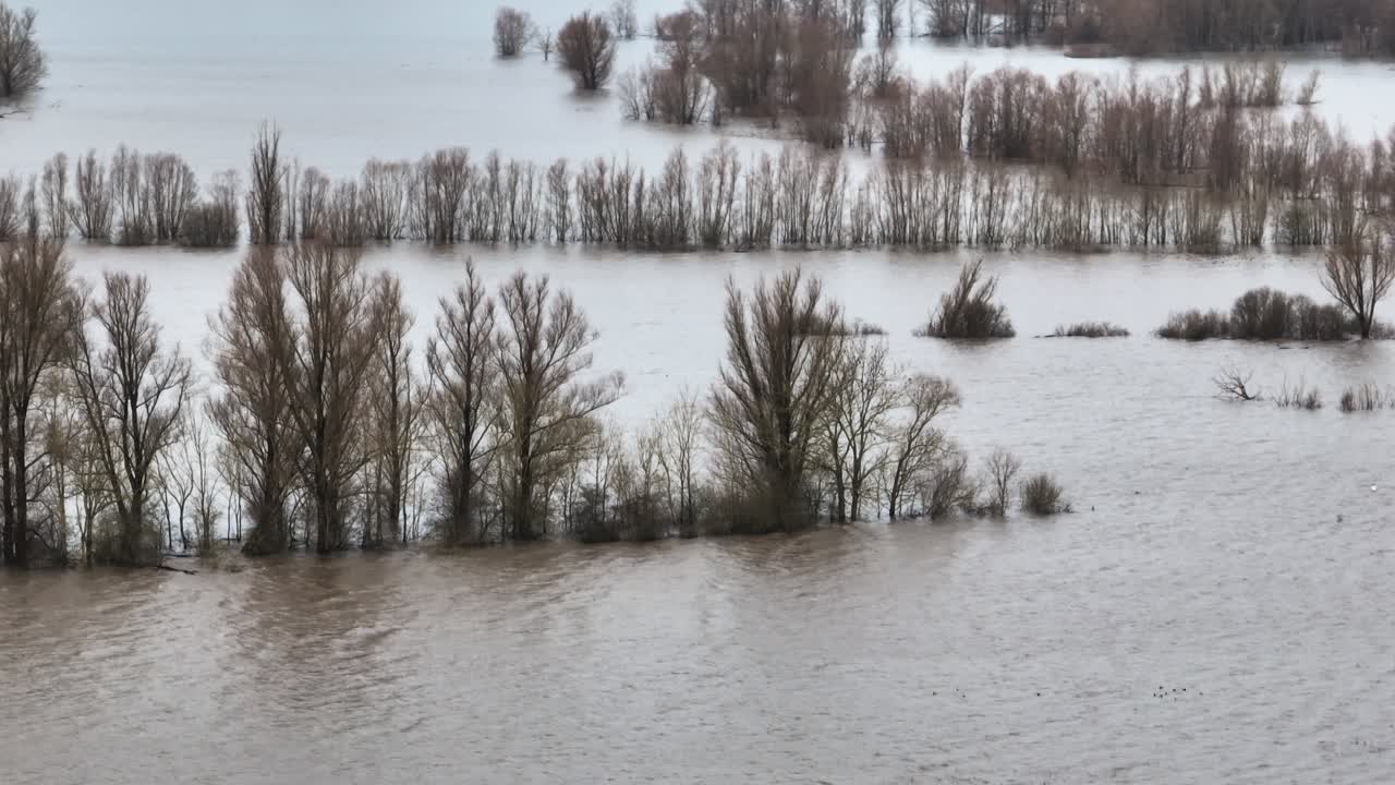Flooded River Landscape