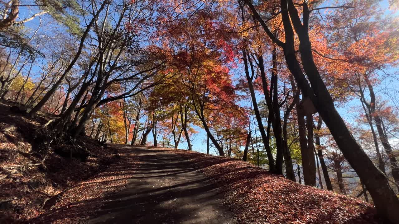가을 색의 숲을 통해 언덕을 등반하는 pov