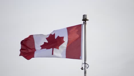 bandera canadiense ondeando en el viento, estática