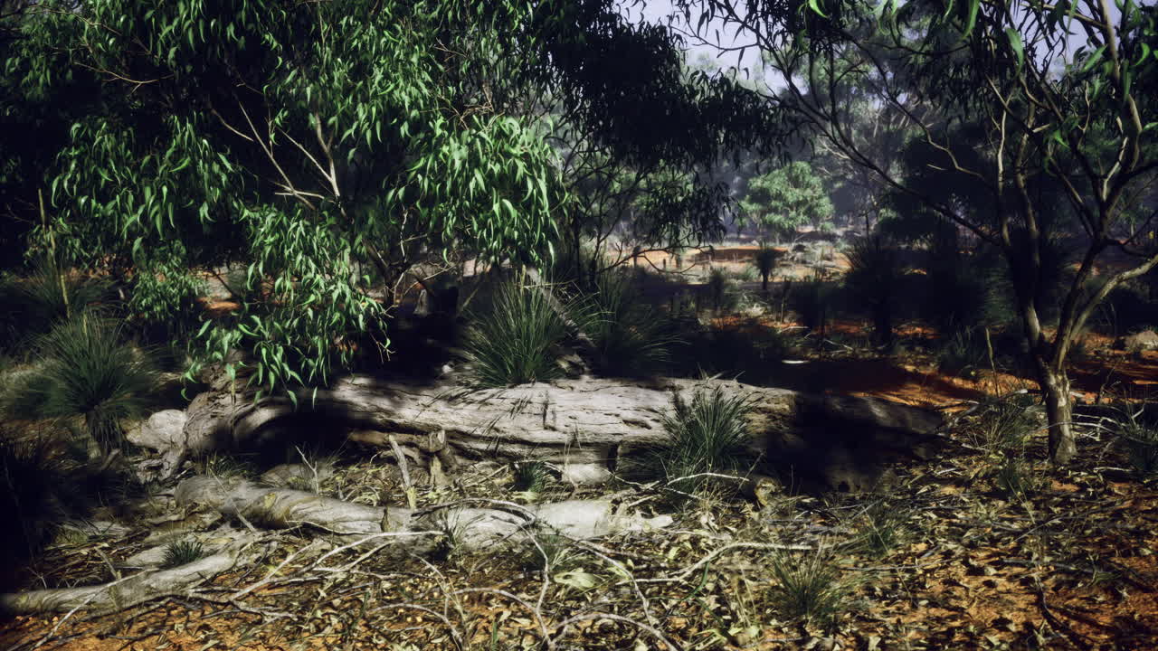 Discovering hidden wonders in an enchanting forest during twilight hours