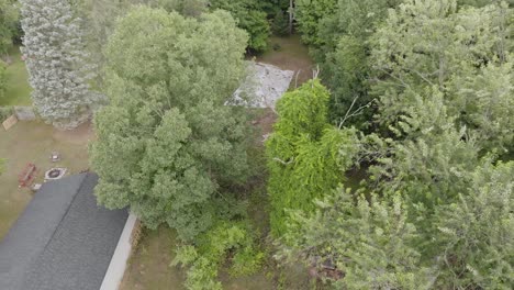 drone acercándose a un halcón cerca