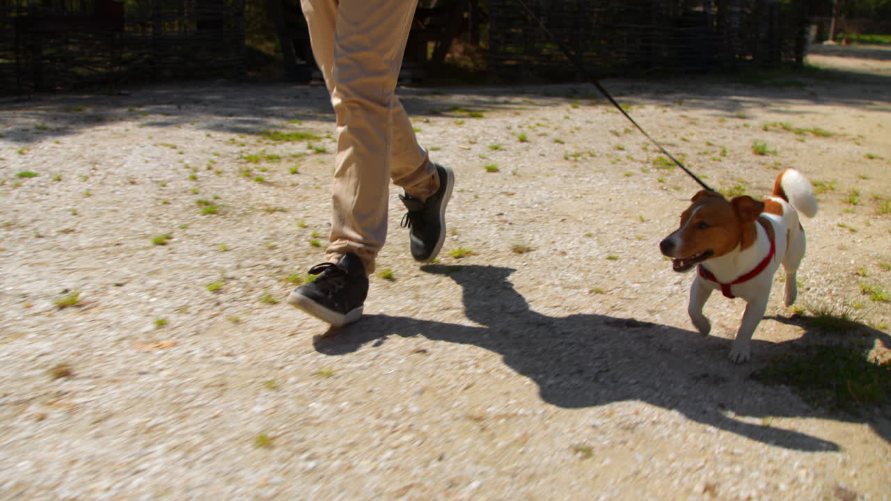 개 를 야외 에 산책 시키는 사람