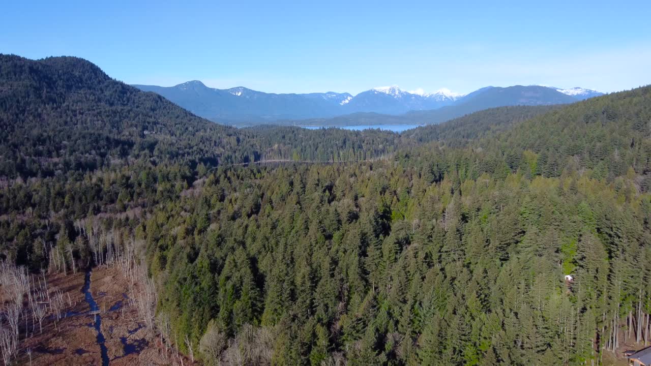 Aerial View of a Vast Forest in Bowen Island, Canada