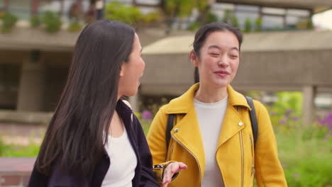 two smiling young female friends meet talking as they walk outdoors along city street together 1