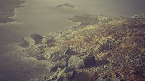 lush rocky coastline with fog and distant waves during early morning hours
