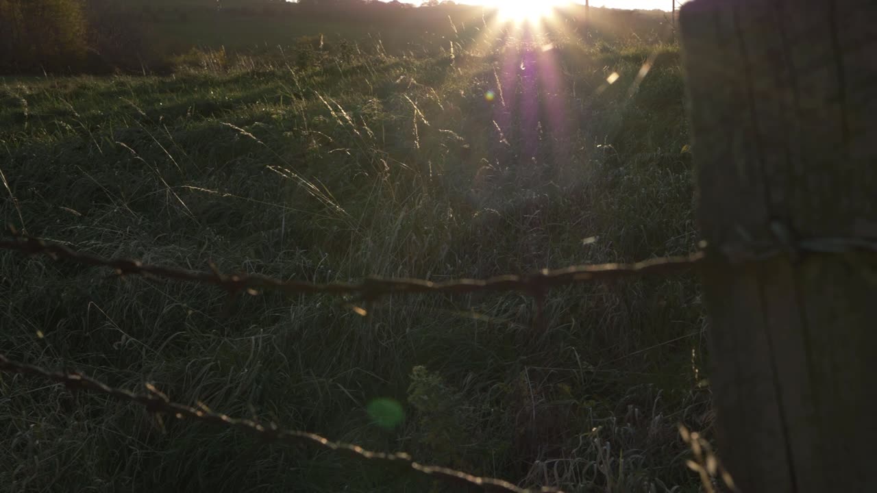 일몰 중간 패닝 샷에서 철조망 울타리