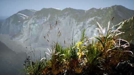fresh grass at big rocky cliff in ocean