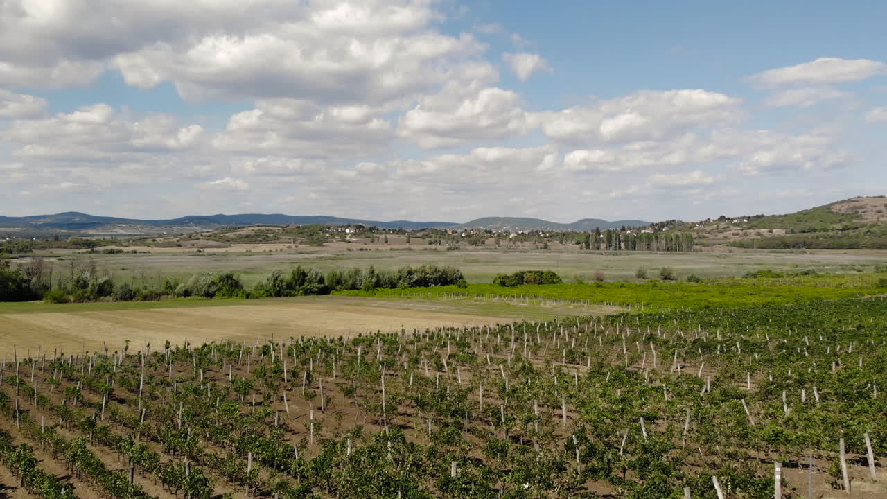 Take off at a vineyard on a sunny drone elevating over Tuscan landscape