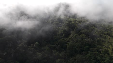 Aerial-view-of-the-green-jungle-with-clouds,-drone-perspective