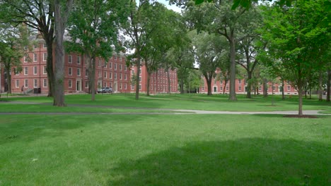 college yard