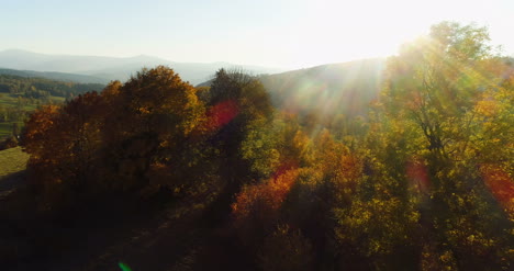 Aerial-View-Sunrise-Sunset-Over-Of-Forest-9