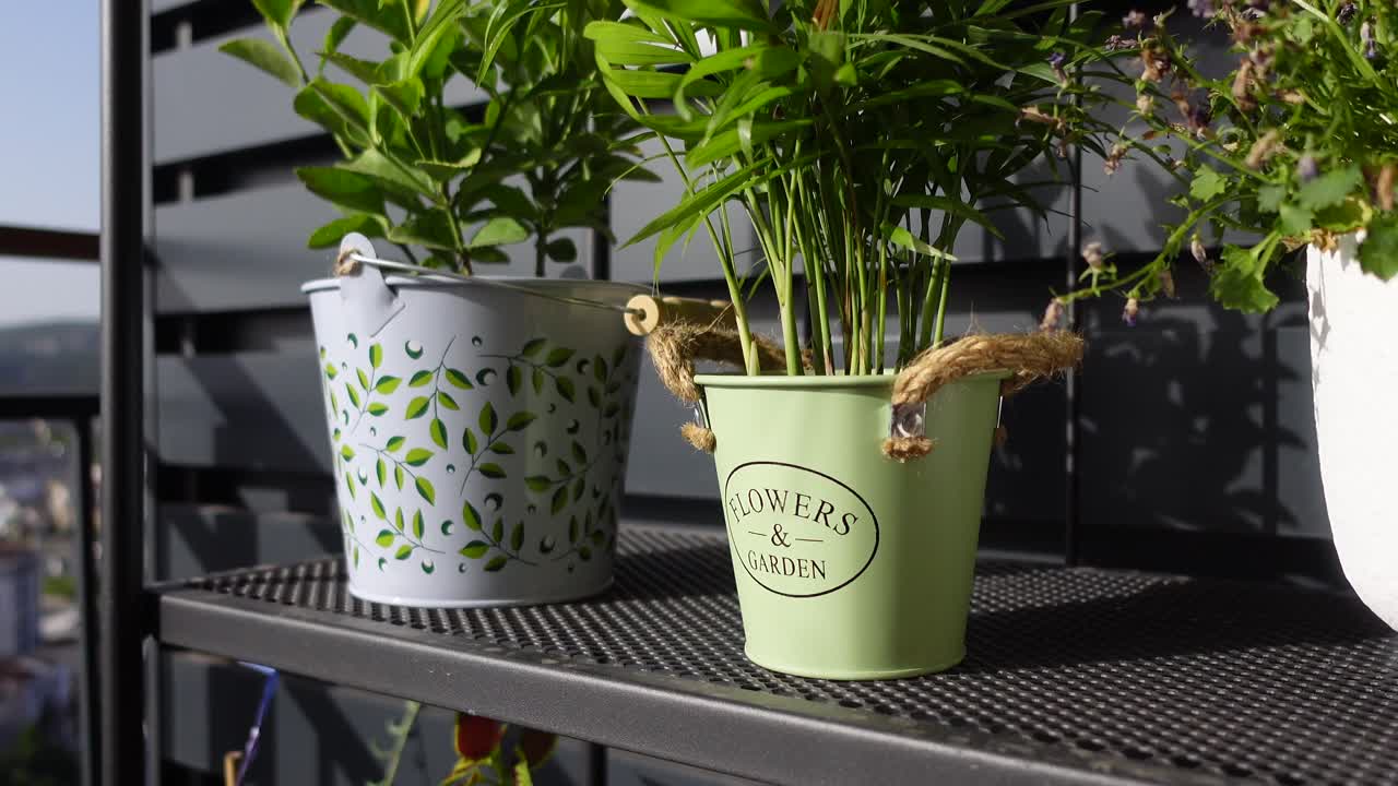 plantas en macetas en un estante de metal