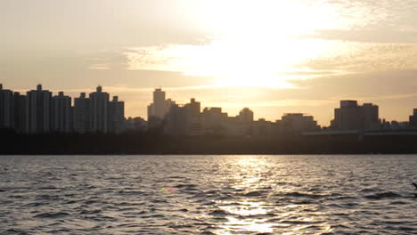 city sunset over river with birds