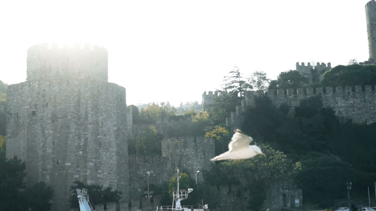 Gull flying over historical Istanbul castle towers