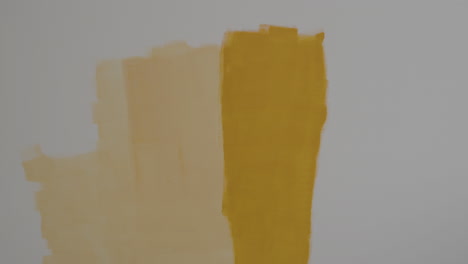 couple painting a wall together and choosing paint colors