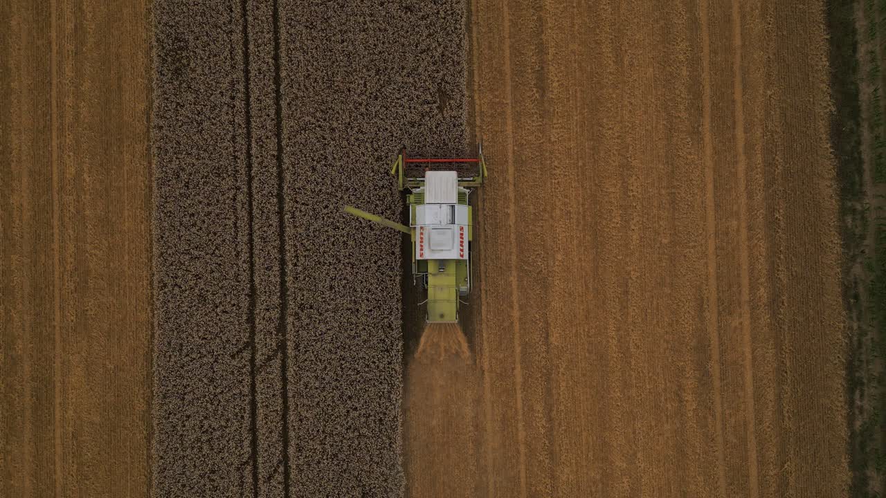 Raccolta di campi di grano con mietitrebbia.