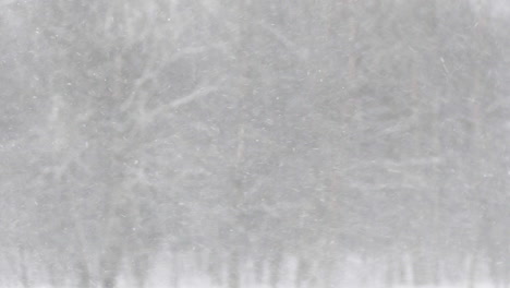 Super-close-up-of-snowfall-in-a-storm-with-background-a-forest