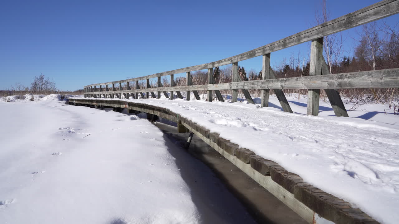 자연 공원의 다리에서 팬 샷