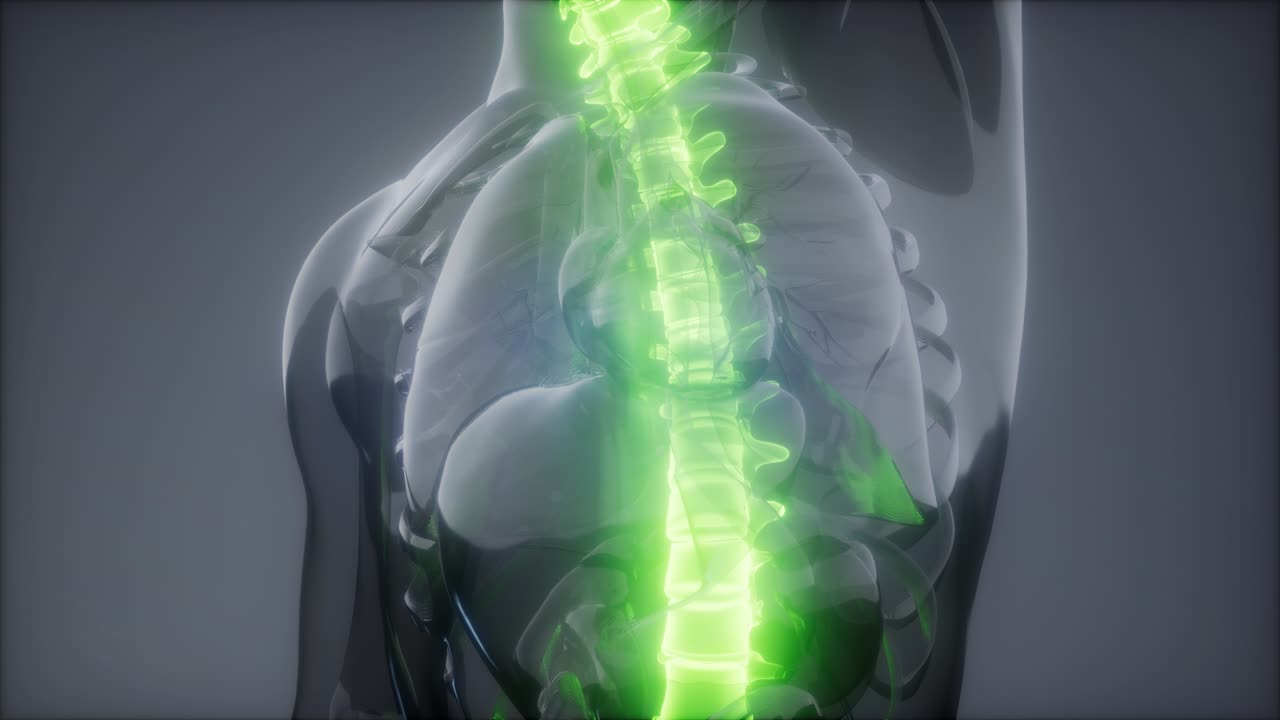 허리  ⁇ 에 허리 통증