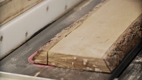 cutting wooden plank by electric circular saw