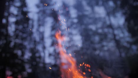 dark evening fire with blue sky and sparkles, blurry background and trees