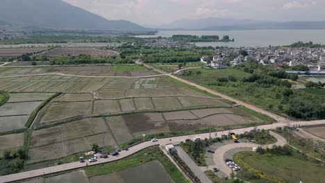 Atemberaubende-Drohnenaufnahmen-Der-Reisfelder-Von-Xi-Zhou-Mit-Dem-Herrlichen-Erhai-See-Im-Hintergrund