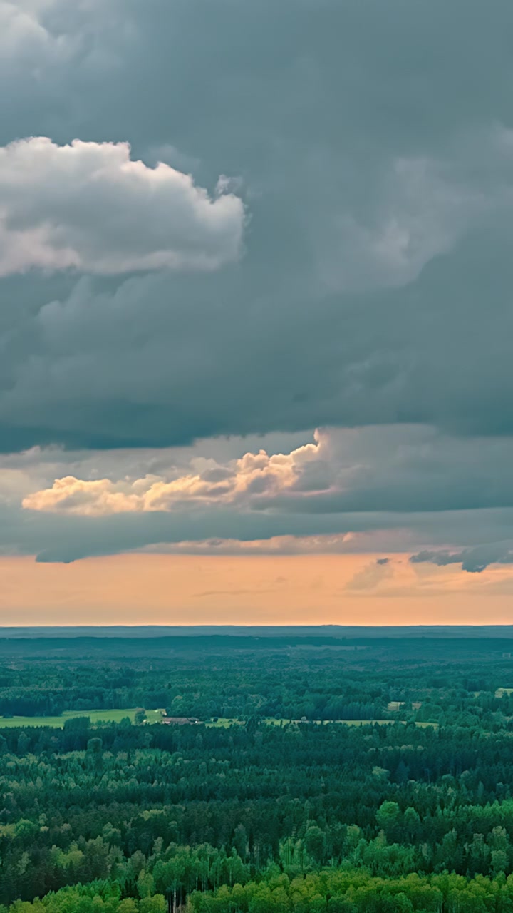 Aerial view of a forest landscape under a dark grey sky.