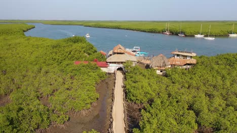 Antena-Sobre-Vastos-Manglares-En-El-Río-Gambia-Gambia-África-Occidental-Termina-En-Un-Albergue-Improvisado-O-Un-Albergue-Remoto-2