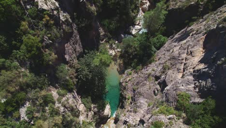 vista aérea a bajo nivel y que revela un arroyo de alta montaña y un río dentro del bosque