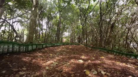Fast-dolly-in-shot-through-a-cool-canopy-path-lined-by-beer-bottles,-surrounded-by-exotic-foliage-from-the-Madeiro-beach-overlook-in-Pipa,-Brazil-on-a-warm-sunny-summer-day