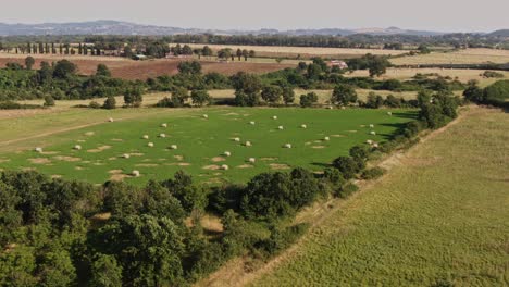 aerial view of hay bales in patchy green field