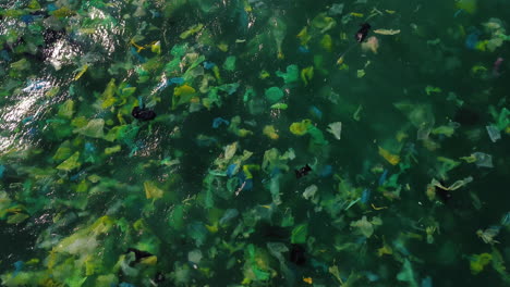 aerial static view over a large amount of plastic bags flowing in ocean