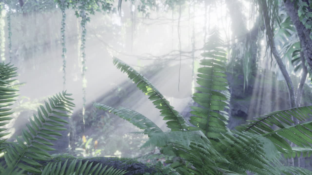 Sunlight filters through lush ferns in a tranquil forest during early morning